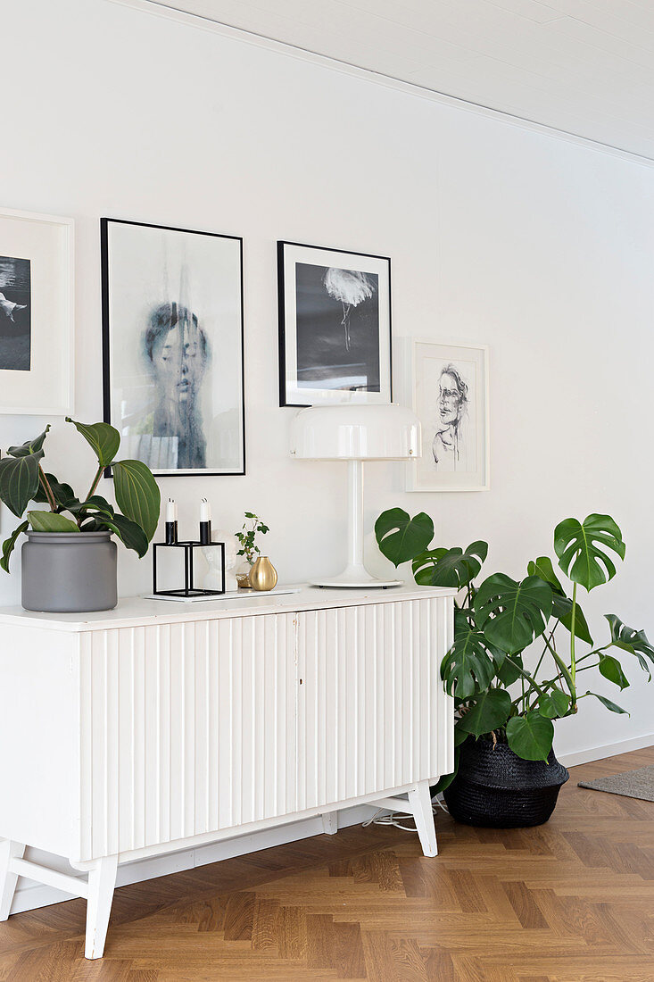 Gallery of pictures above white retro cabinet and houseplants