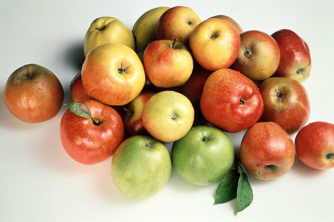 Verschiedene Äpfel