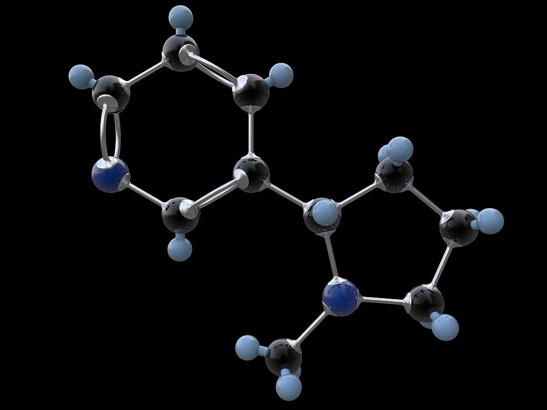 Nicotine organic compound molecule