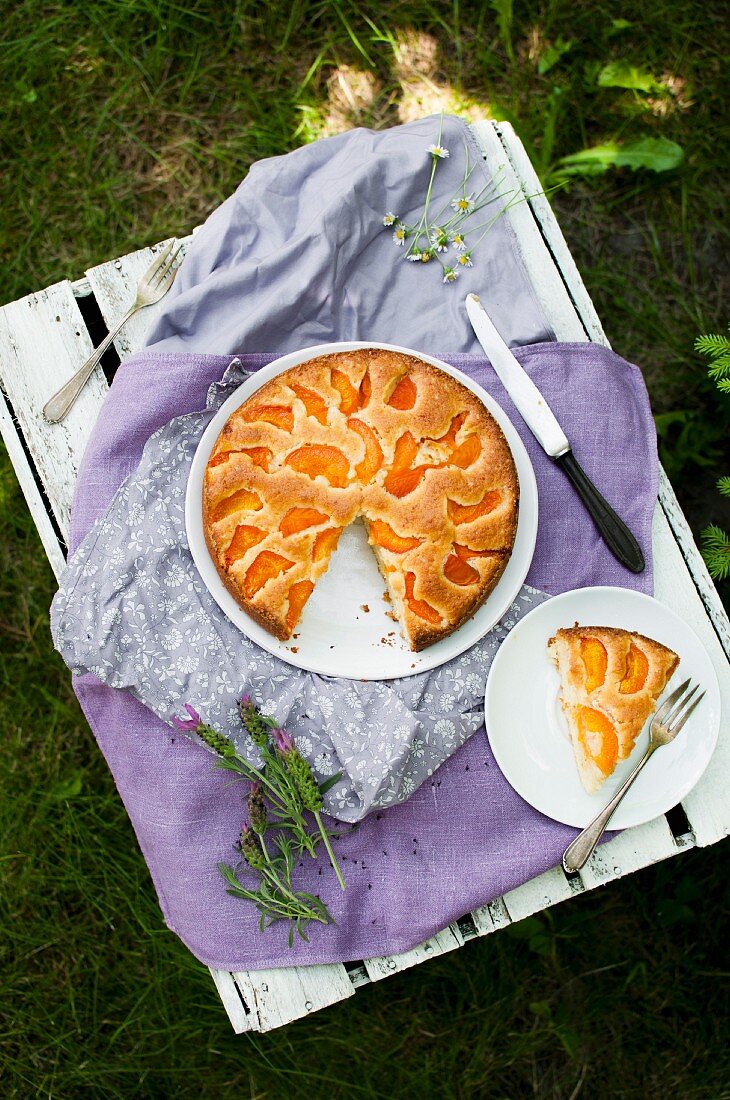 Einfacher Aprikosenkuchen auf Holzkiste im Garten (Draufsicht)