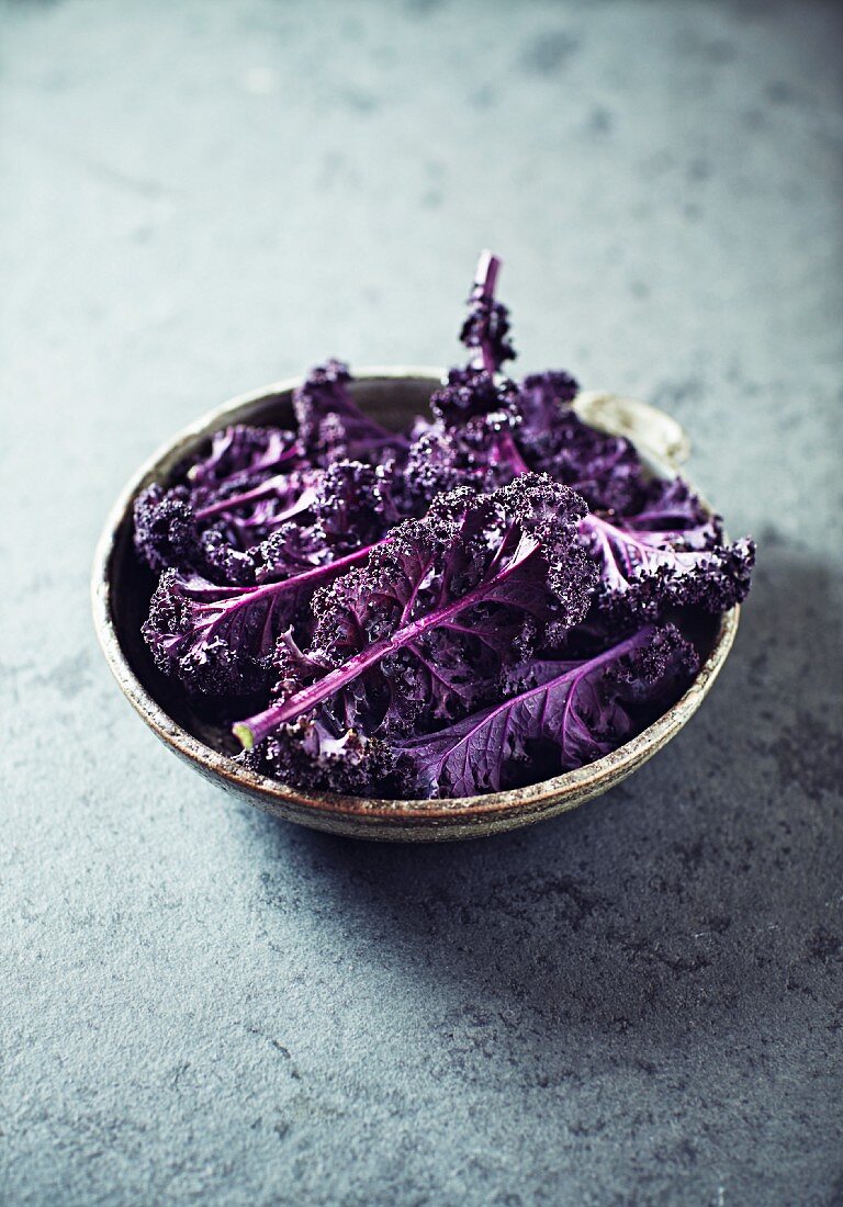 Redbor Kale in a ceramic Bowl