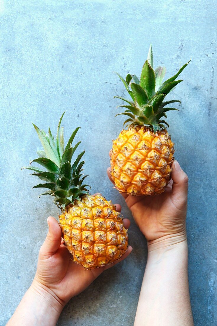 Frauenhände halten zwei Baby-Ananas (Aufsicht)