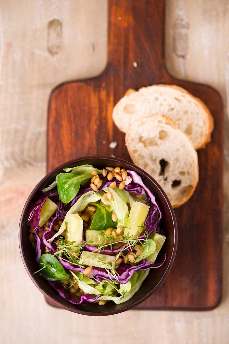 Veganer Salat (Einkorn, Rotkohl, Eisbergsalat, Feldsalat, Gurkensticks)