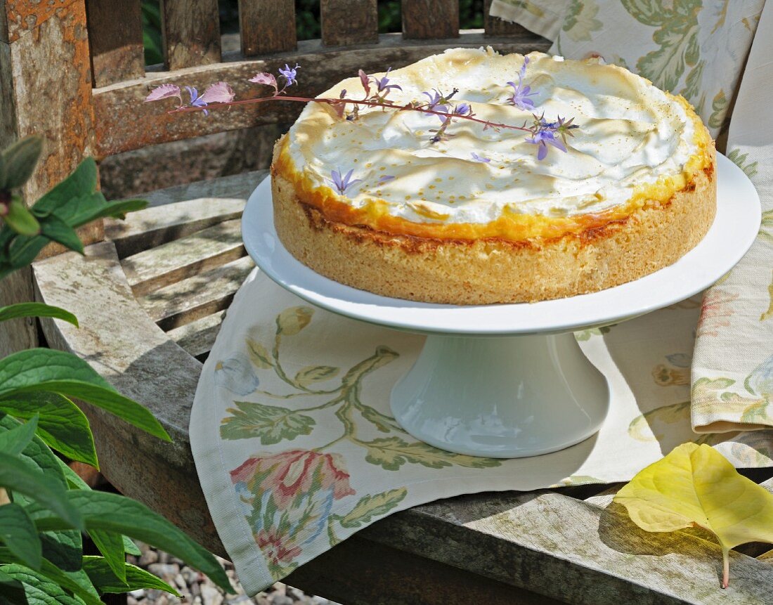 A vanilla cheesecake with meringue on a cake stand