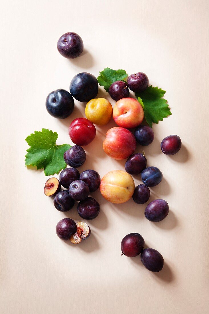 A variety of different plums on a peach coloured painted background