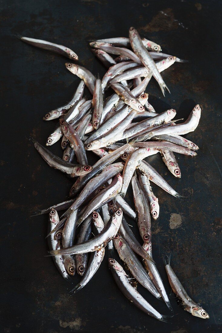 Sardines on a metal sheet