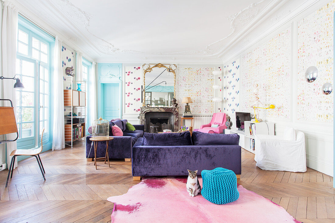 Cat sitting in colourful living room in French period building