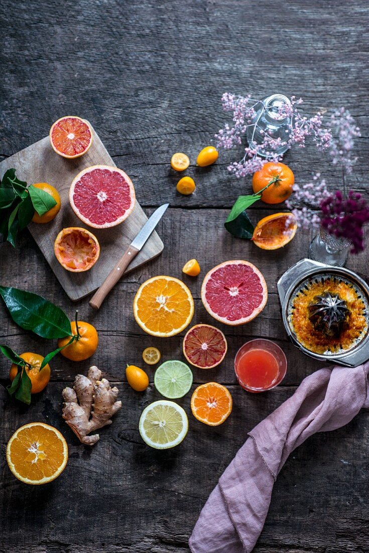 Orange, Blutorange, Grapefruit, Limette, Zitrone, Clementine, Kumquat und Ingwer mit Saft und Presse