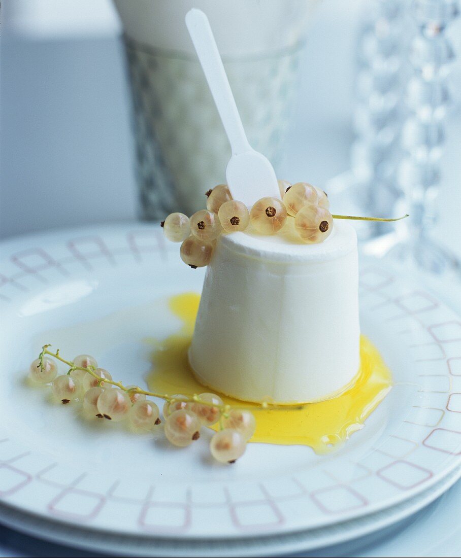 Panna Cotta mit weissen Johannisbeeren auf Fruchtsauce