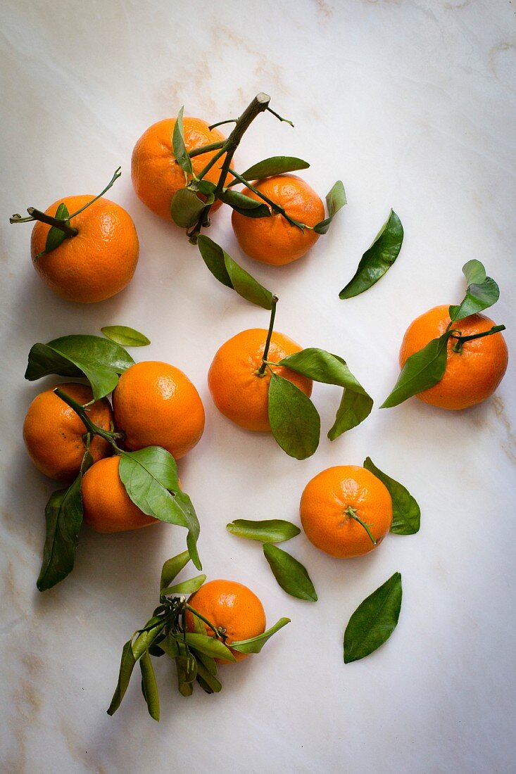 Tangerinen mit Blättern und Stängeln auf weißem Untergrund (Aufsicht)
