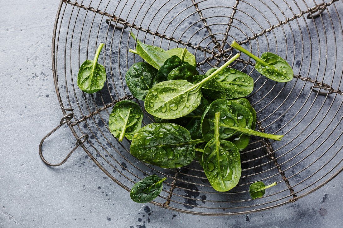 Raw fresh baby spinach on wire rack on gray concrete background
