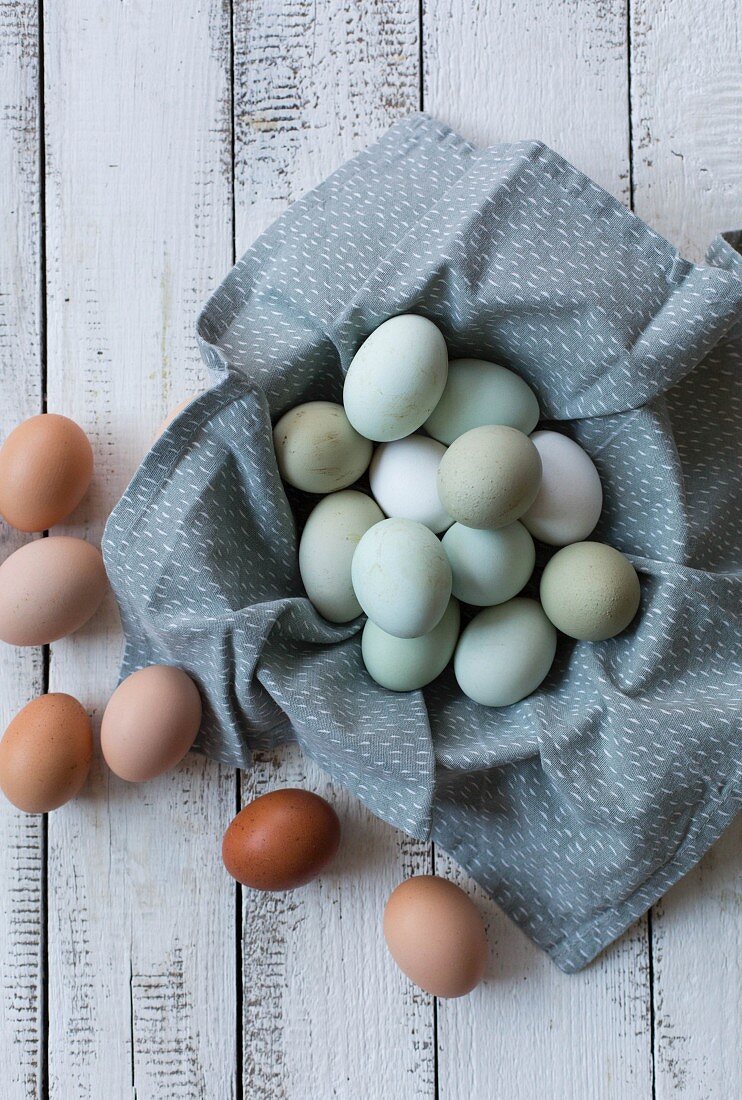 Different coloured eggs