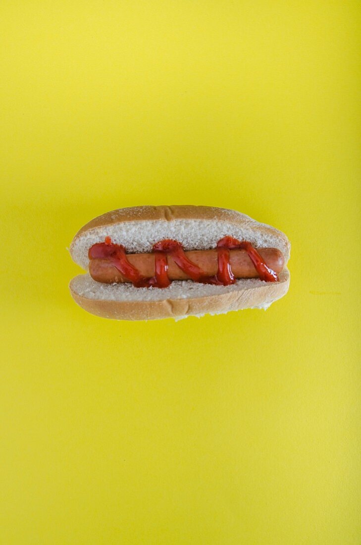 A hot dog against a yellow background