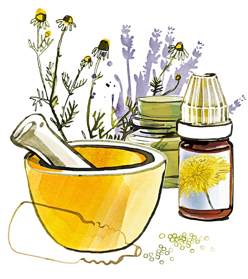 Illustration eines Mörser und Pistill, verschiedener Pflanzen und homöopathischer Medizin