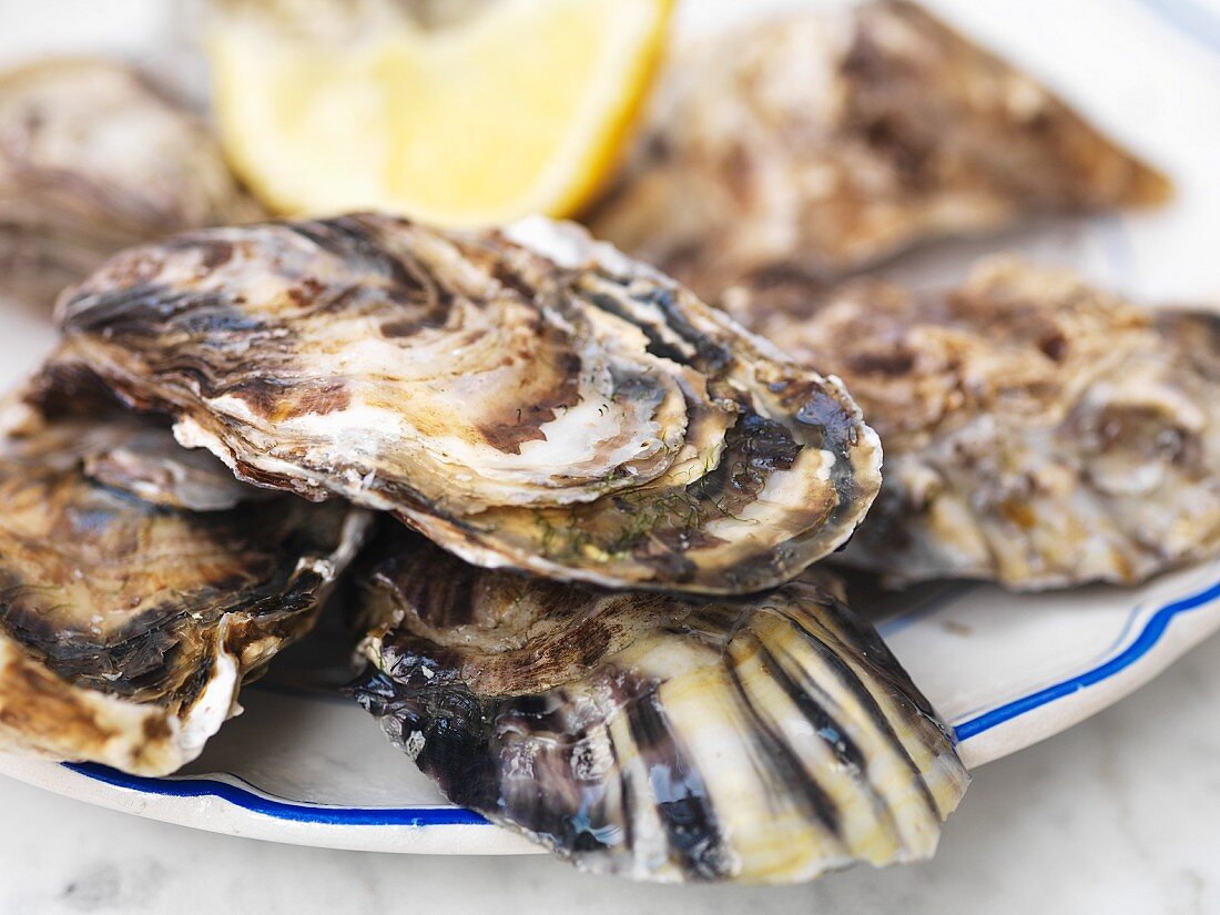 Fresh oysters with lemon (close-up)