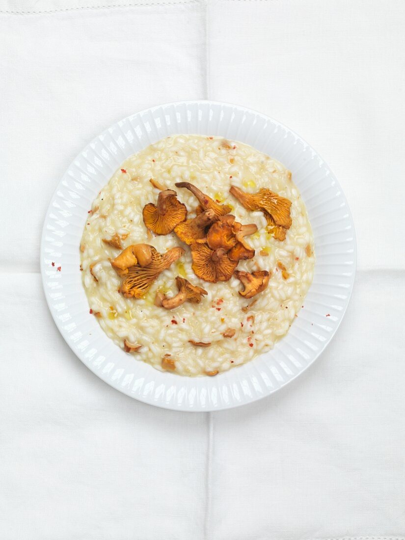 Risotto mit Pfifferlingen (Draufsicht)