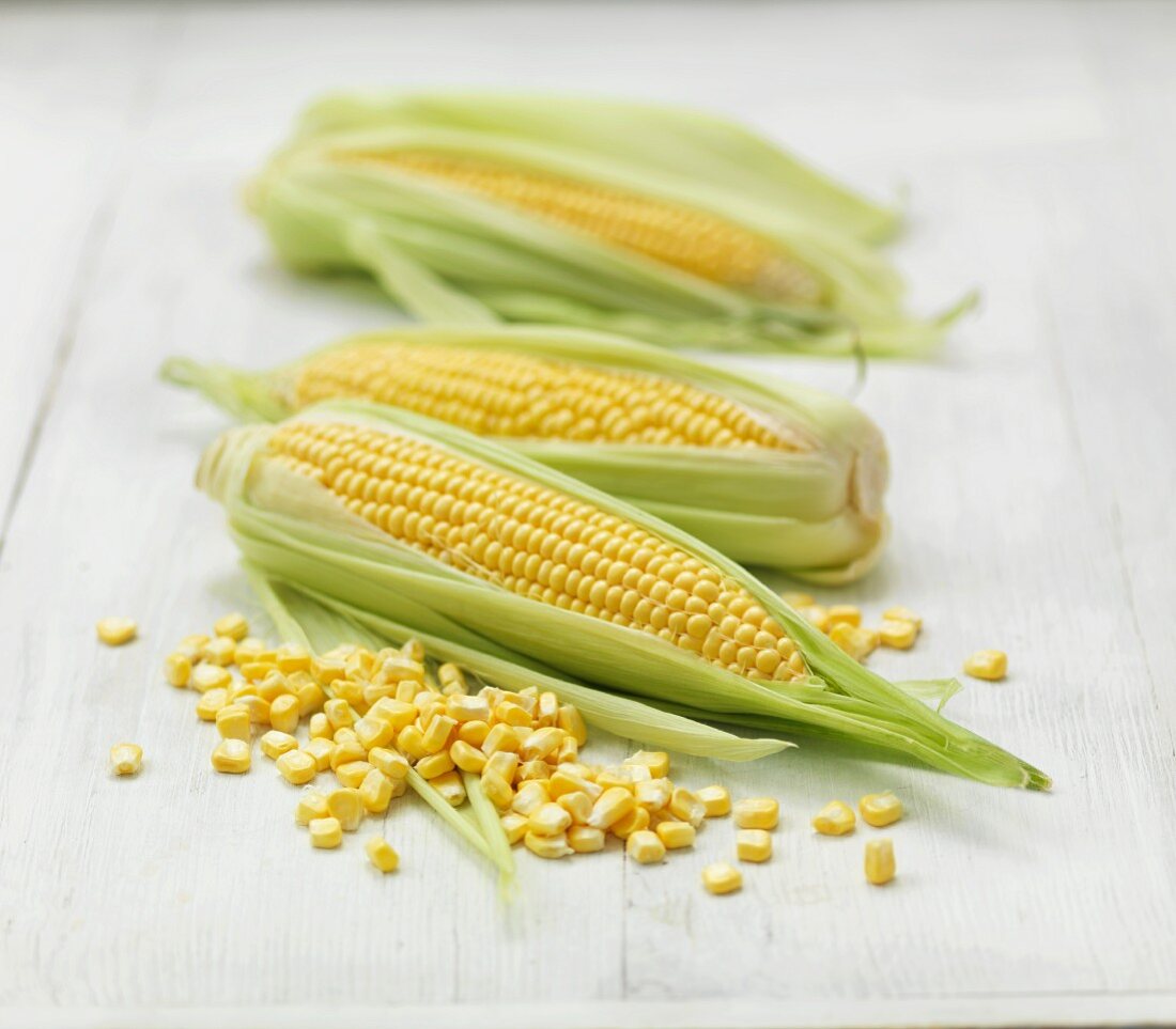 Fresh corn on the cob