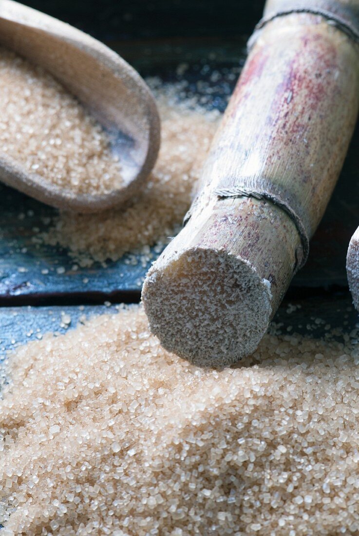 Closeup of raw sugar cane with sugar