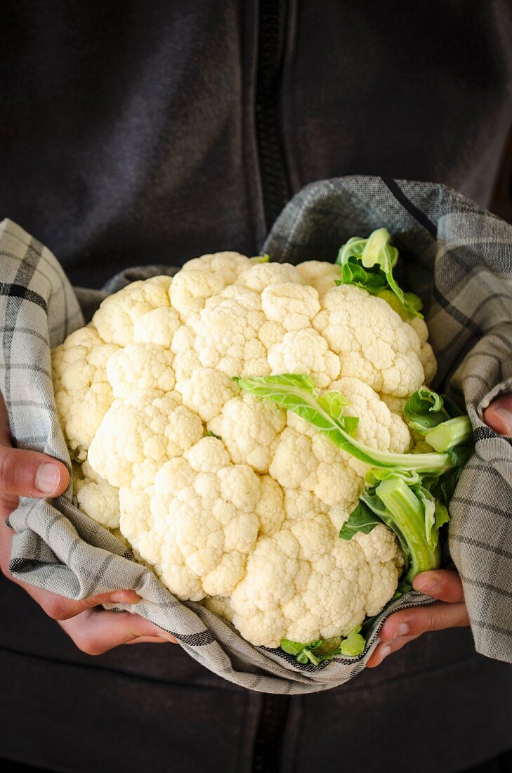 Hands holding a cauliflower