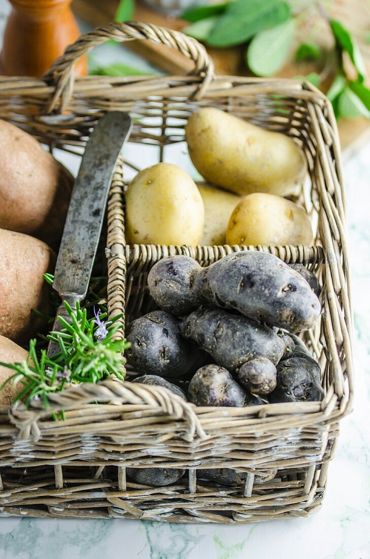 Verschiedene Kartoffelsorten in Fächerkorb