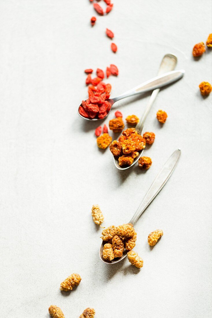 Getrocknete Cranberries, Physalis und Maulbeeren auf Vintagelöffeln