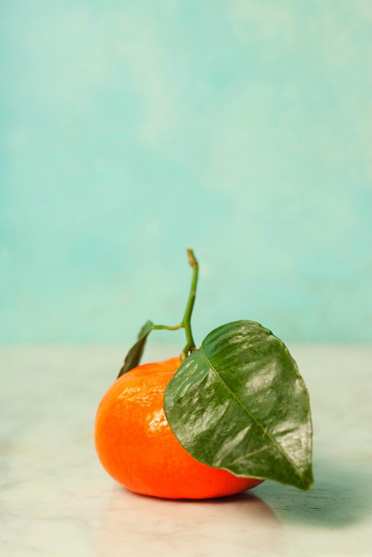 Frische Clementine mit Blatt auf blauem Hintergrund