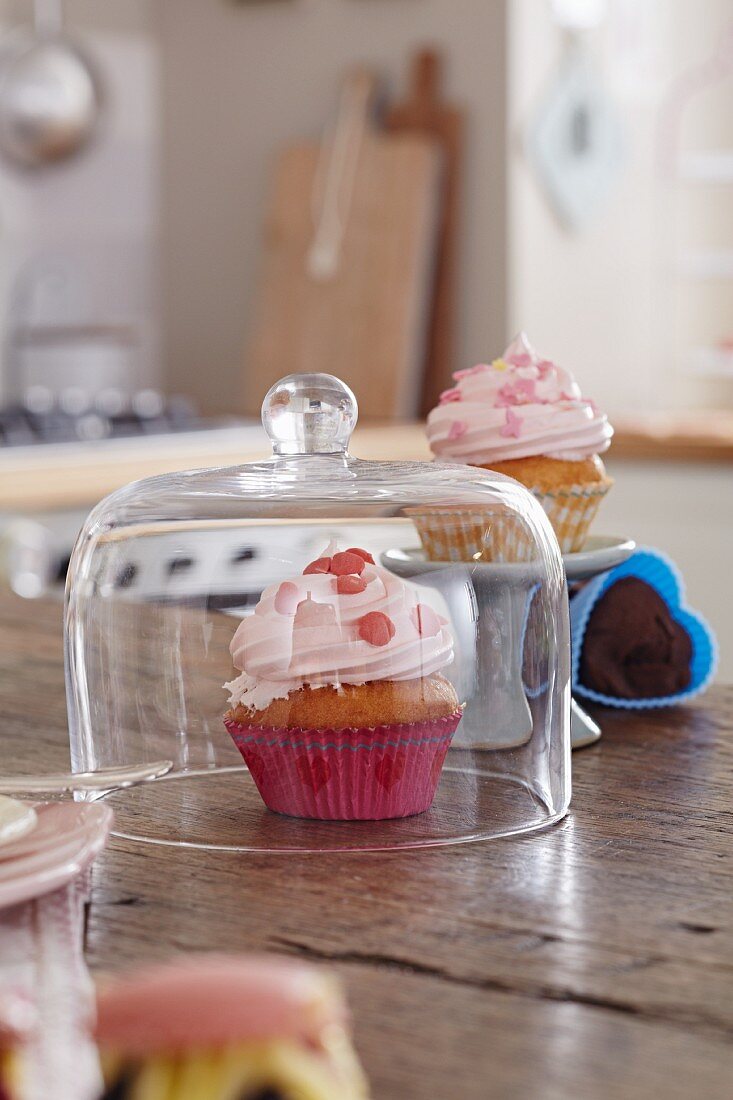 Cupcake with pink frosting under a glass dome on a kitchen table