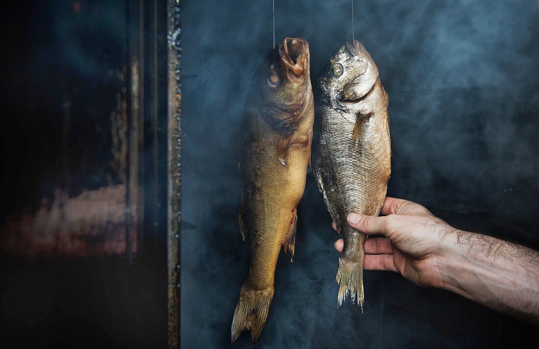 Geräucherte Fische aus der Räucherkammer