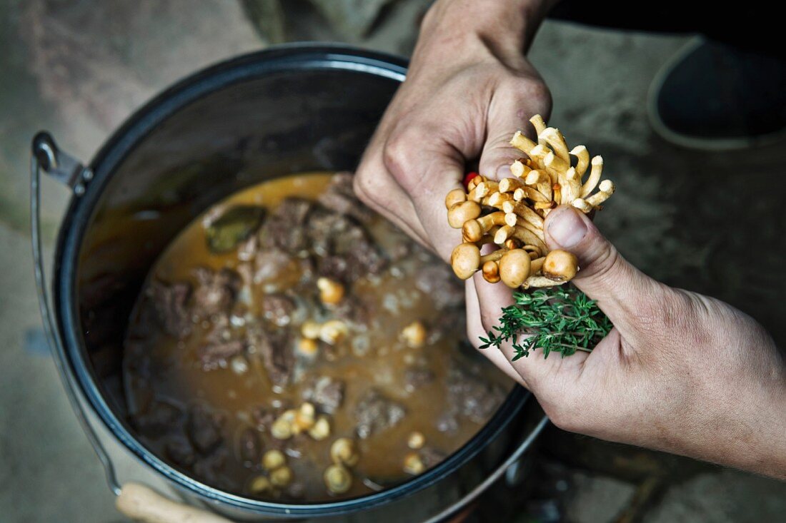 How to make meatballs with mushrooms (camping)