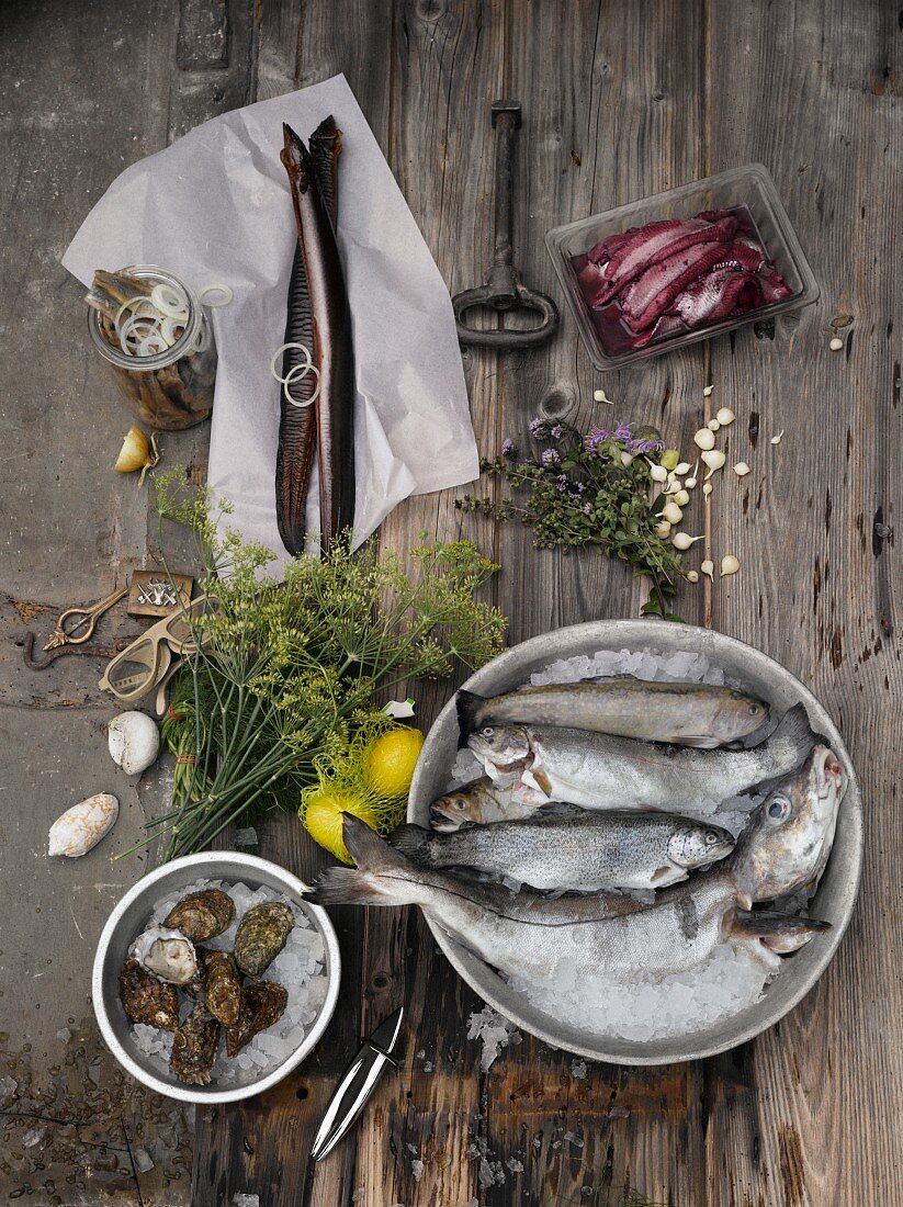 Aal, Austern, Kabeljau und Forellen mit Kräutern und Zitronen auf Holzuntergrund