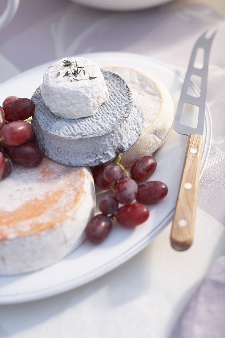 Different types of cheese with grapes and a cheese knife on a serving plate