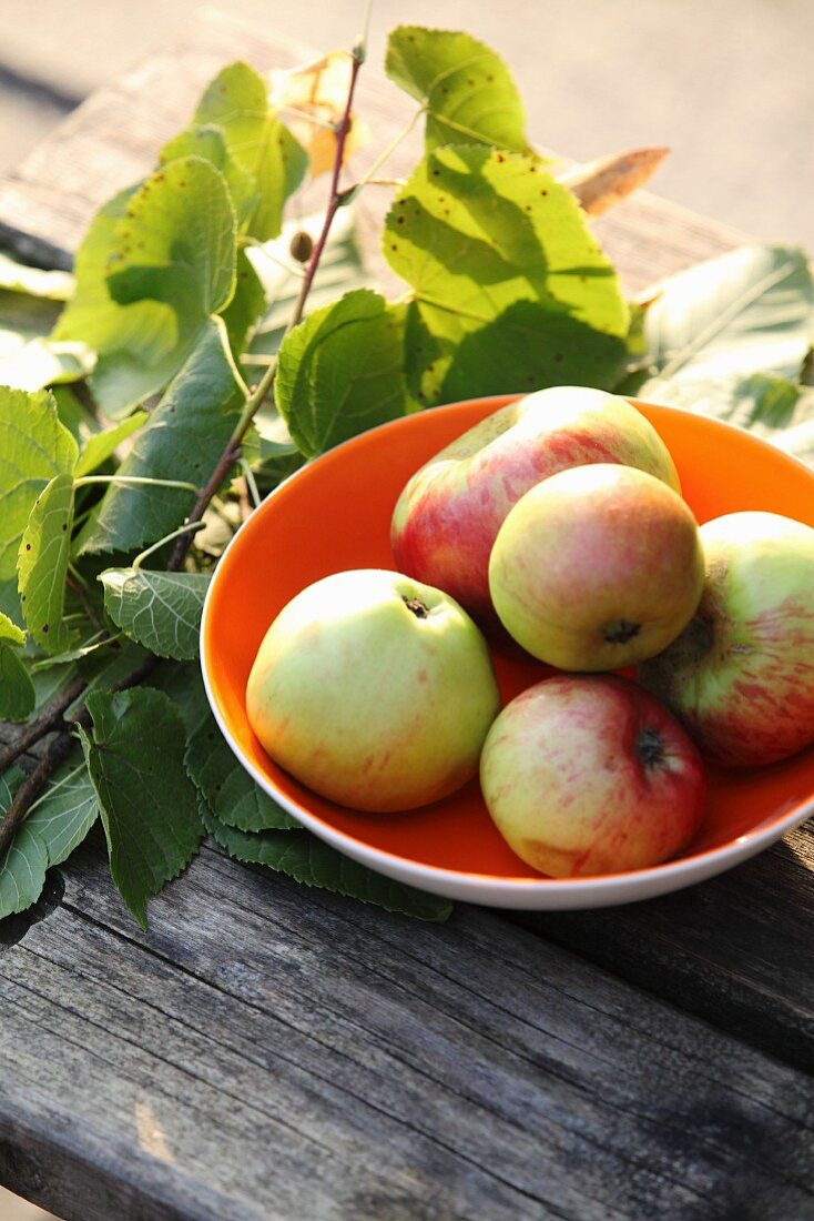 Fresh apples in a bowl on a wooden table