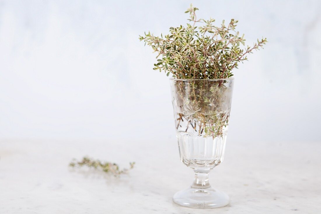 Fresh thyme in a glass jar against a white background