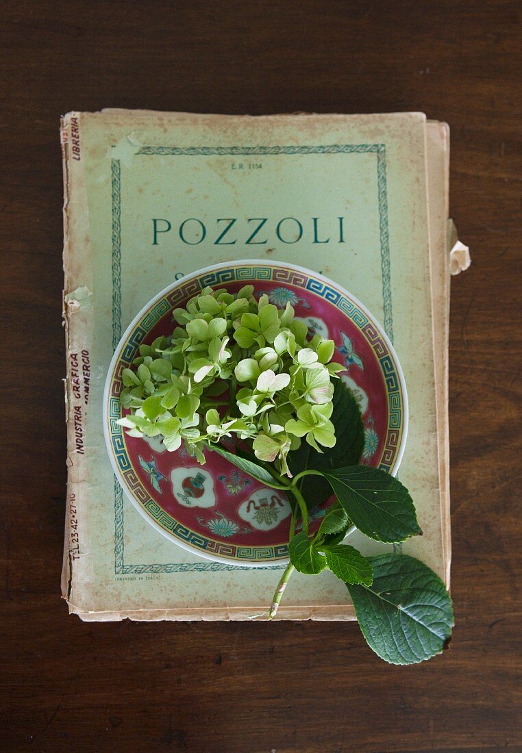 Hydrangea flowers in decorative china bowl on old book