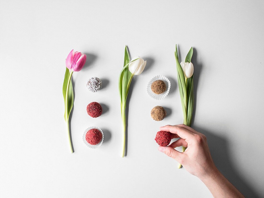 Verschiedene Pralinen zwischen Tulpenblüten arrangiert (Aufsicht)