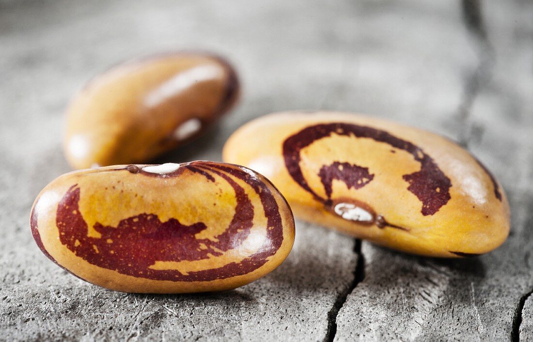 Three borlotti beans (close-up)