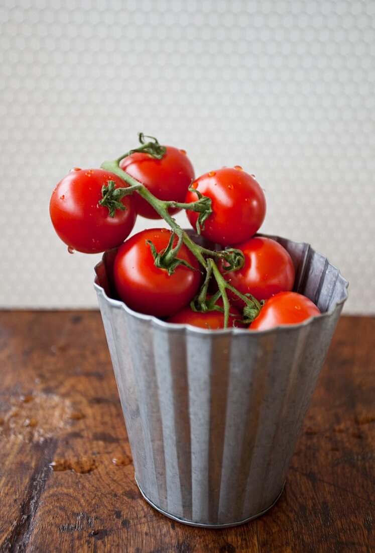 Tomatoes in a metal bucket