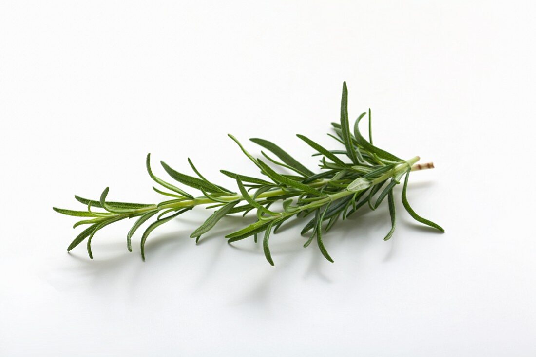 Fresh rosemary