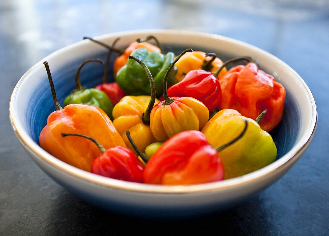 Various colours of chili peppers in a blue and white collander