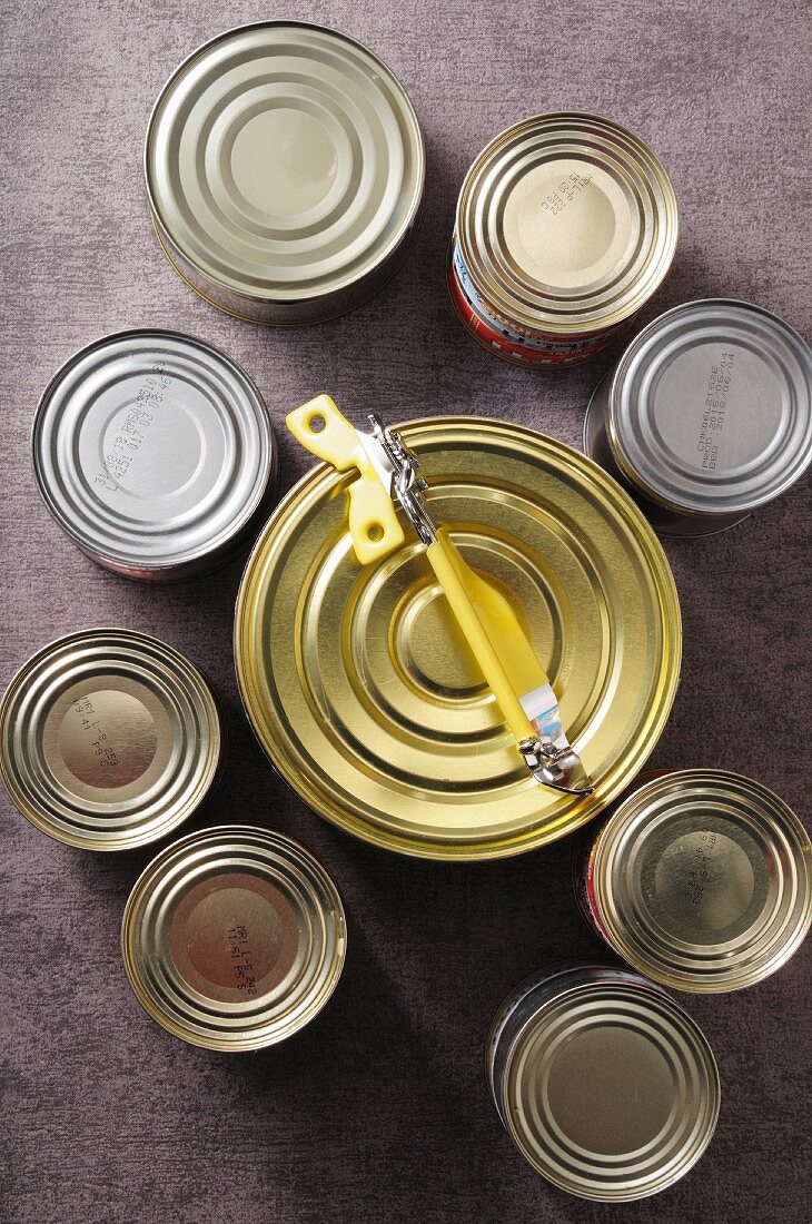 Various tins of food with a tin opener (seen from above)