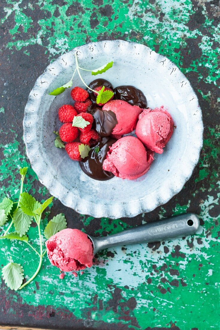 Frozen lupin yoghurt with raspberries and dark chocolate sauce