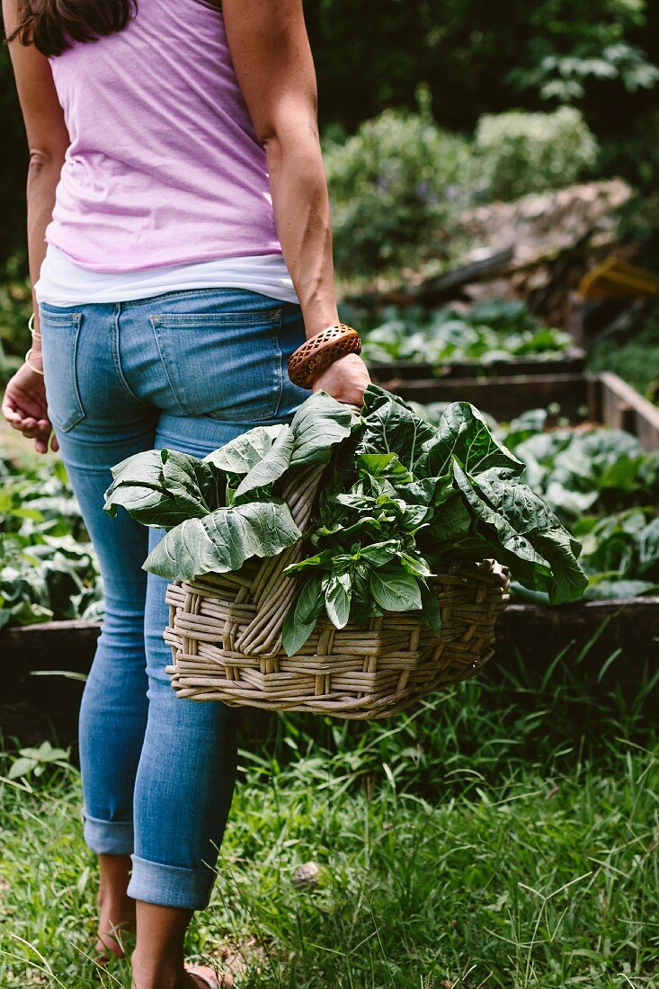 A woman is holding a basket full of freshly picked greens in her hand in a farmer's market