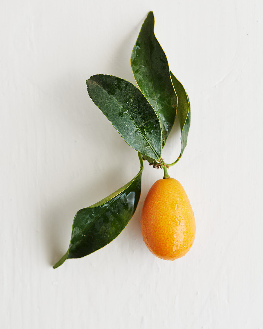 A kumquat with leaves on a white surface