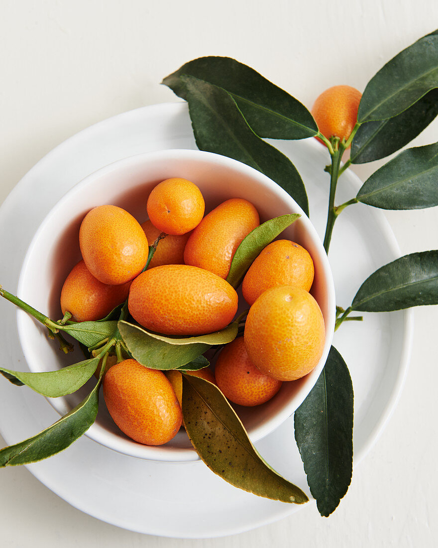 Kumquats mit Blättern in Porzellanschälchen