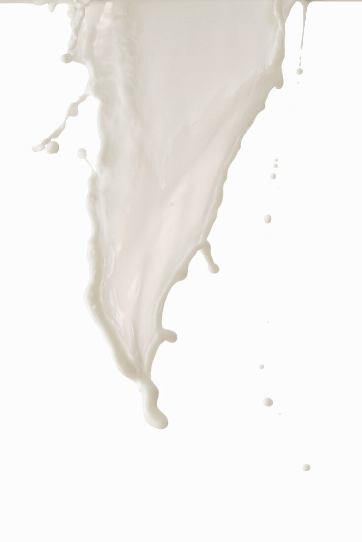 Ein Milchsplash vor weißem Hintergrund