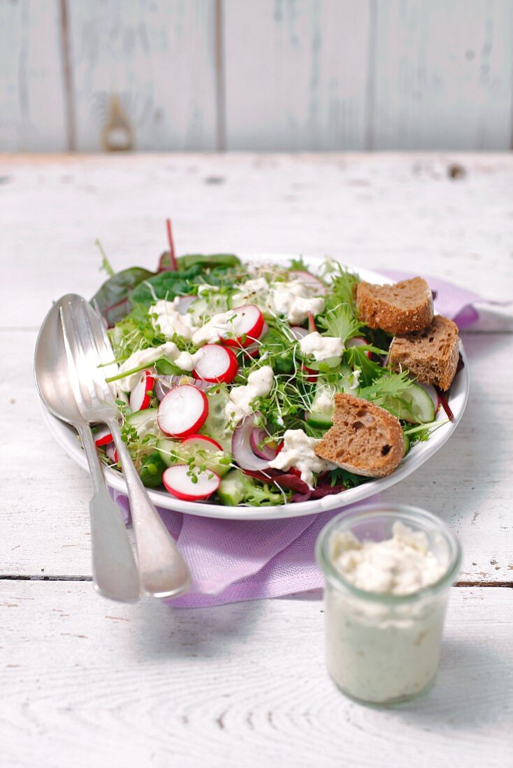 Colourful spring salad with blue cheese dressing and chunks of rye bread