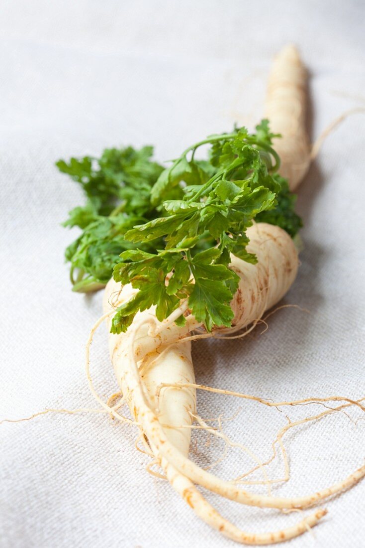 Organic parsley roots