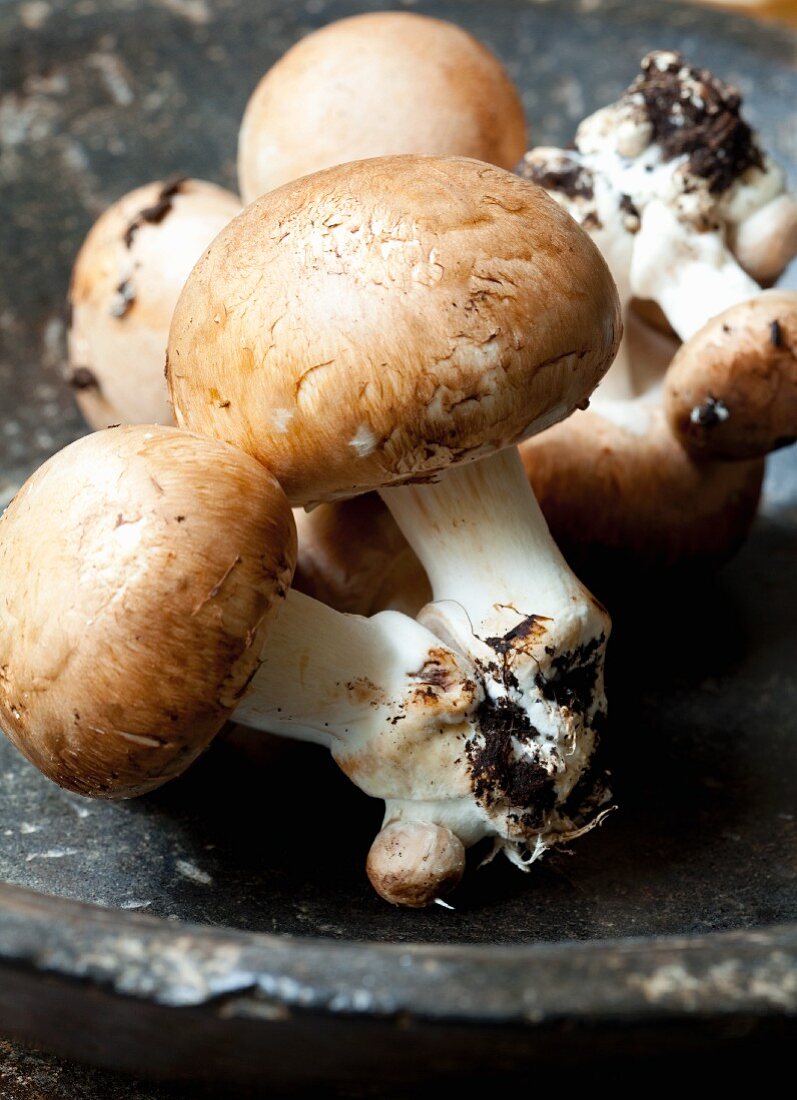 Fresh mushrooms (close up)