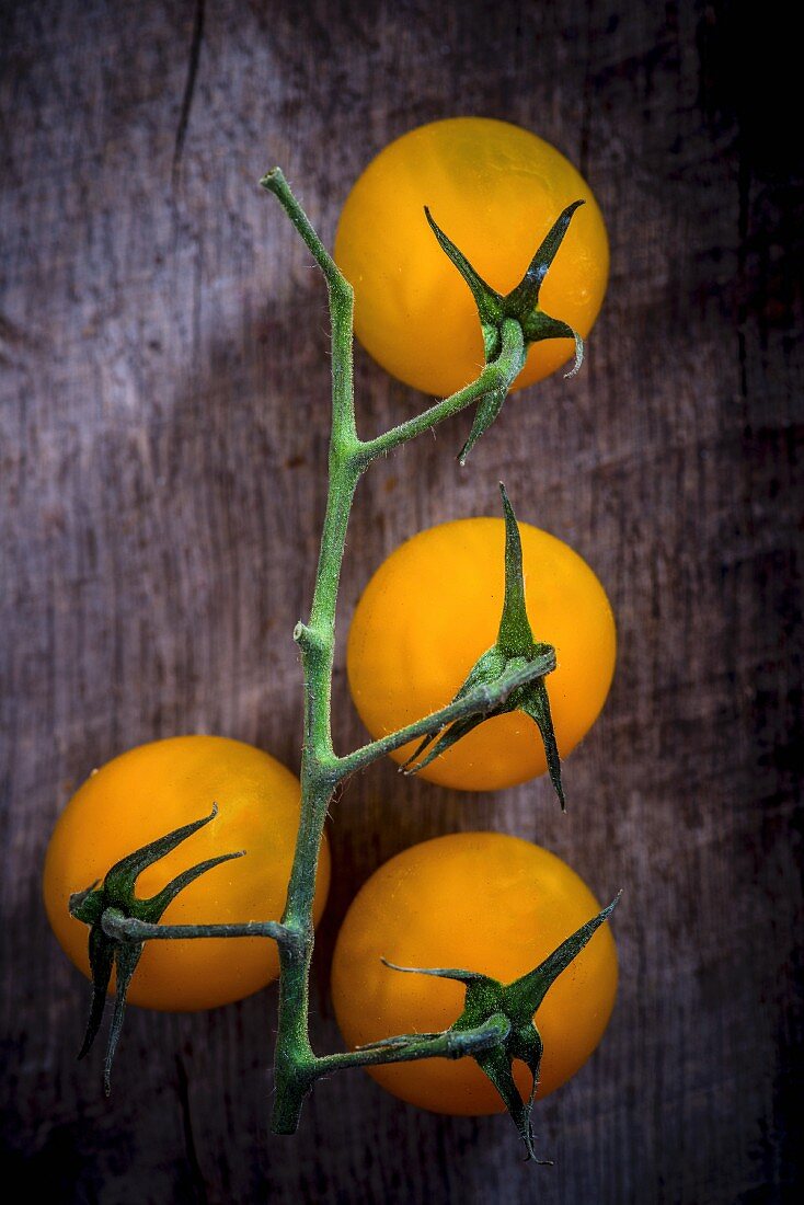 Four yellow cherry tomatoes on the vine (seen from above)