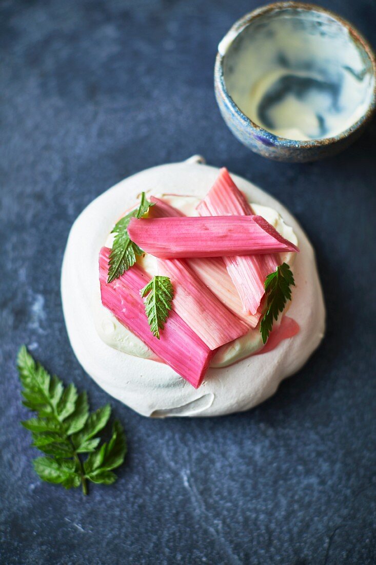 Meringue mit Süssdolde, Rhabarber und Vanillecreme